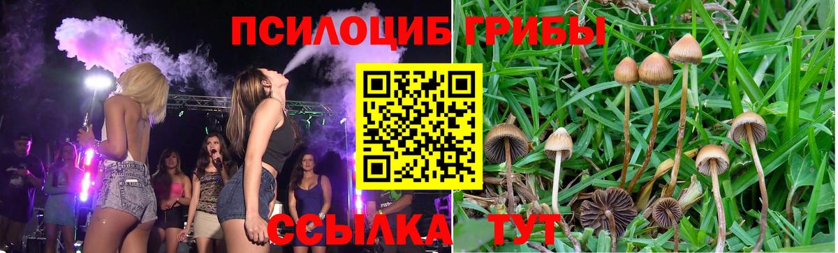 Галлюциногенные грибы ЛСД Канск